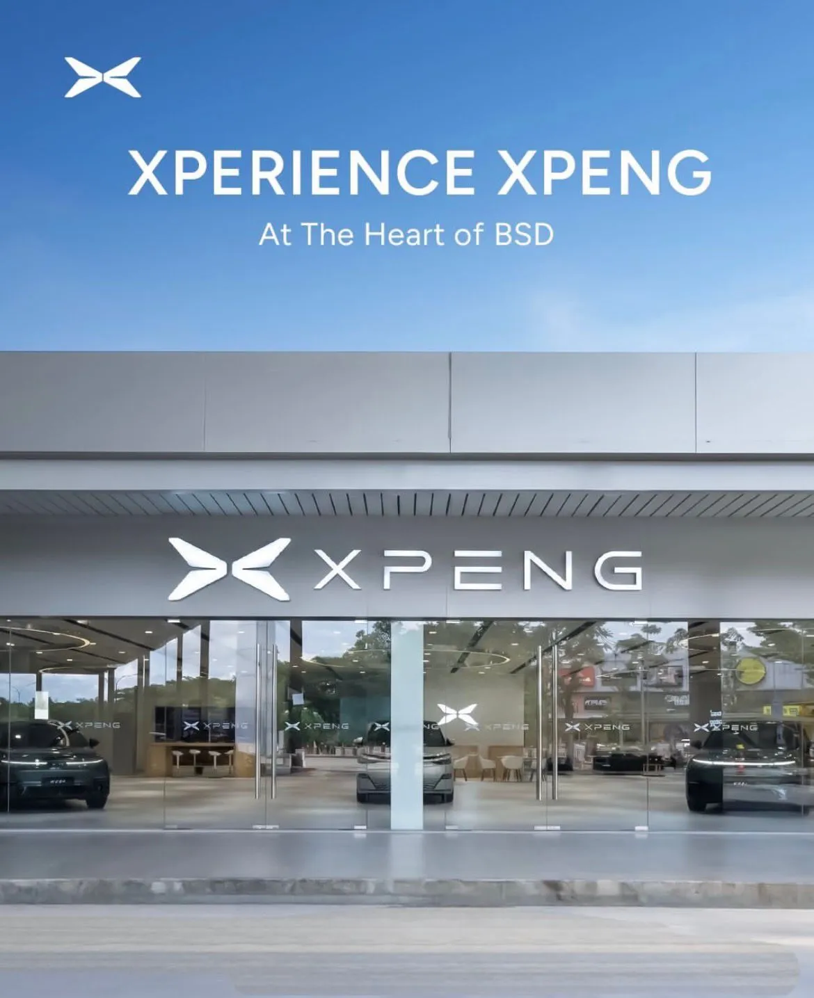 Xpeng BSD